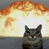 Avatar of nobex77