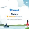 Avatar of Free Pik Image Downloader