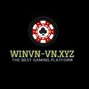 Avatar of winvn-vnxyz