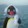 Avatar of osqlw