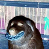 Avatar of bunsenop