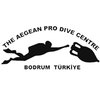 Avatar of Aegean Pro Dive Bodrum