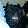 Avatar of unbrkabl