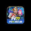 Avatar of pv77netbr