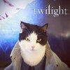 Avatar of minho_mrbot