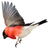 Avatar of aim21learn