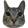 Avatar of Besmot