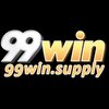 Avatar of 99winsupply