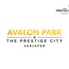 Avatar of Prestige City Avalon Park