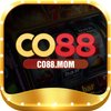 Avatar of co88mom