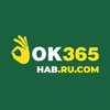 Avatar of Ok365