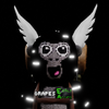 Avatar of Grapes_GT