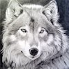 Avatar of wolfen113