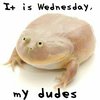 Avatar of Wednesday Frog