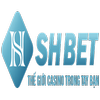 Avatar of Nhà Cái SHBET