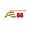 Avatar of AE88