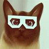 Avatar of Bis_91