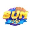 Avatar of Sumvip