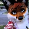 Avatar of the_furry_fox