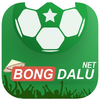 Avatar of Bongdalu NET