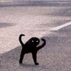 Avatar of meandthebois911