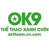 Avatar of ok9teamcncom