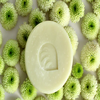 Avatar of lavami