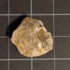 Avatar of trilopodfossils