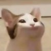 Avatar of HoBu4eK