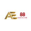 Avatar of ae88eucom