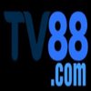 Avatar of TV88