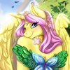 Avatar of Princess Fluttershy
