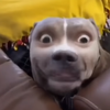 Avatar of alessandroragusa02