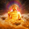 Avatar of Amitabha Buddhist New Zealand