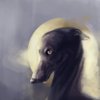 Avatar of cricks