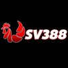 Avatar of sv388qecom