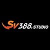 Avatar of Sv388.studio