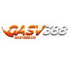 Avatar of Gasv388