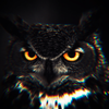 Avatar of owlyz