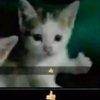 Avatar of Isiska