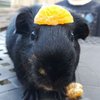 Avatar of Ebony.Pog