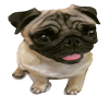 Avatar of atticusgrimm7