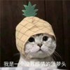 Avatar of Tom