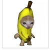 Avatar of toukei