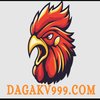 Avatar of dagakv999com