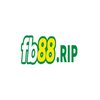 Avatar of fb88rip