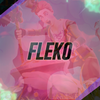 Avatar of fleko