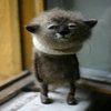 Avatar of posesbcwhynot