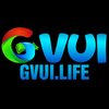 Avatar of GVUI