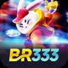 Avatar of br333 Cassino Online